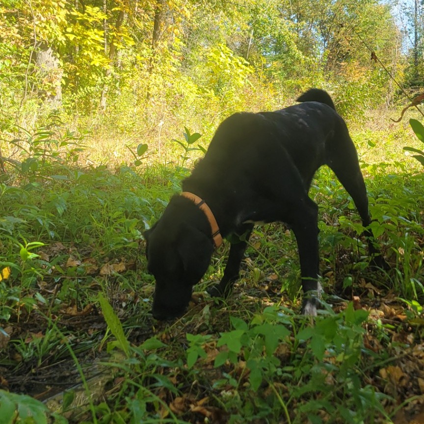 Luna, photo 8