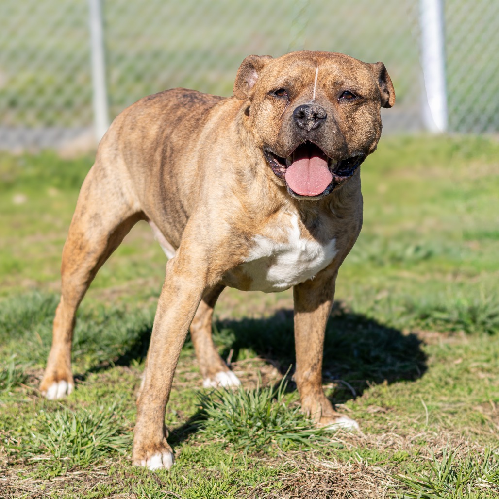 Zeus, additional photo