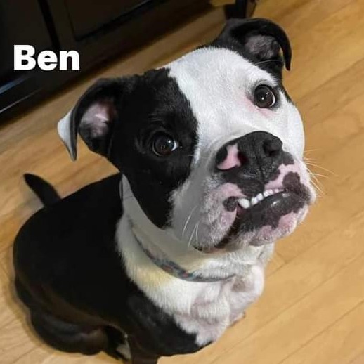 Photo of Ben