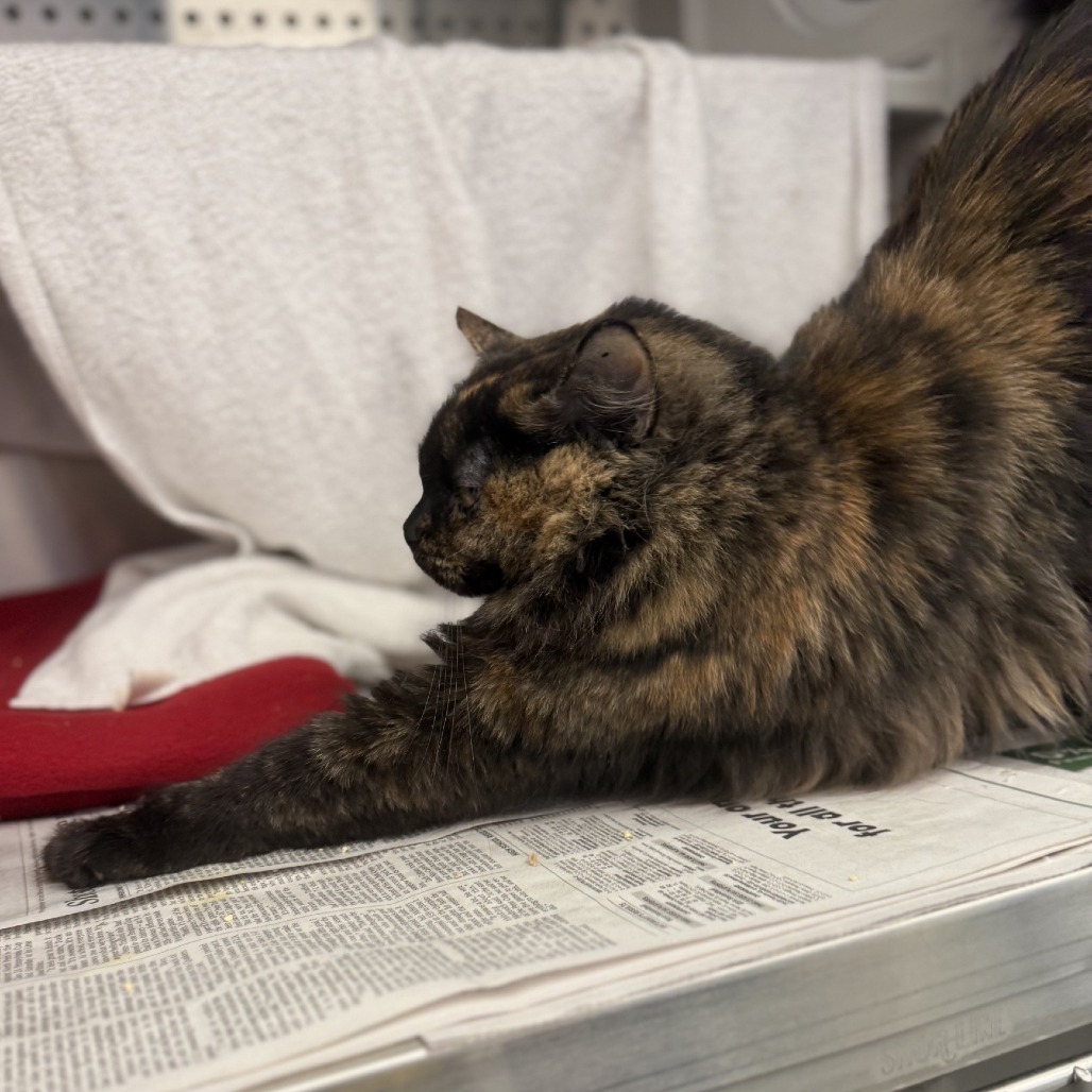 Photo of Laverne Jane 4