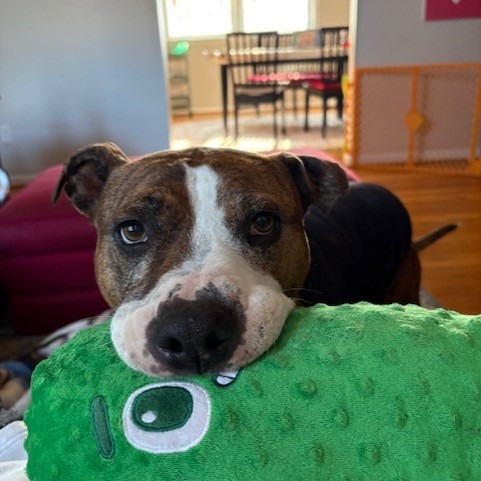 Jax, additional photo