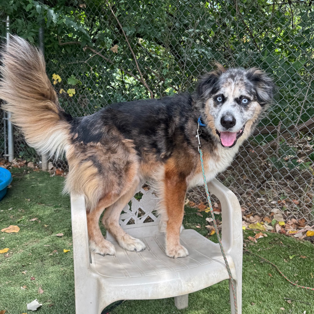 Fondue Platter — thumbnail 11