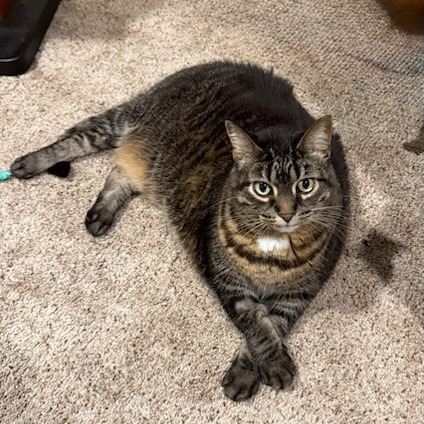 Presley--In Foster