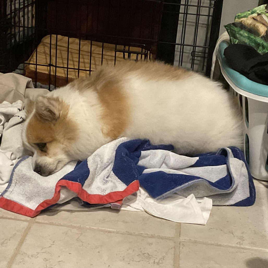 Bruno, photo 23