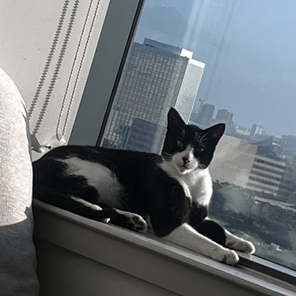 Cookie, photo 7
