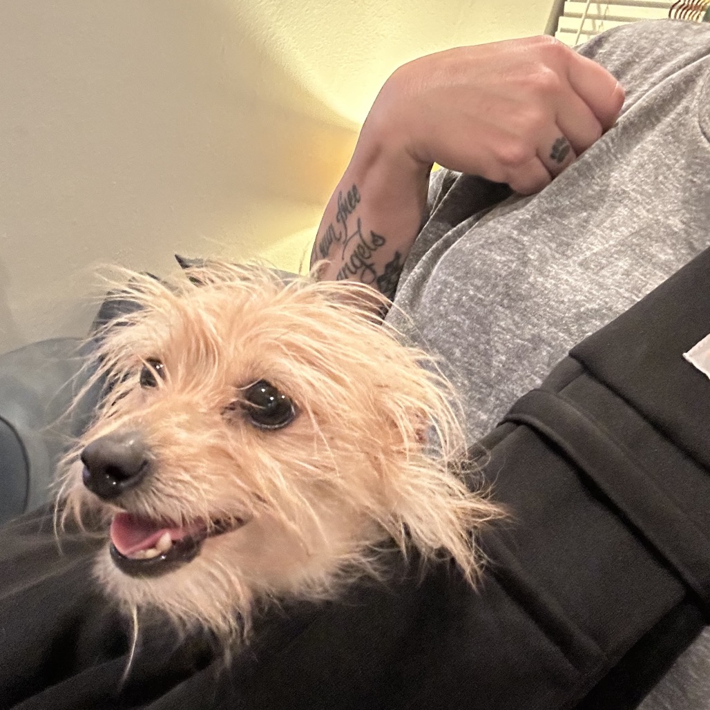 Bye Felicia — thumbnail 8