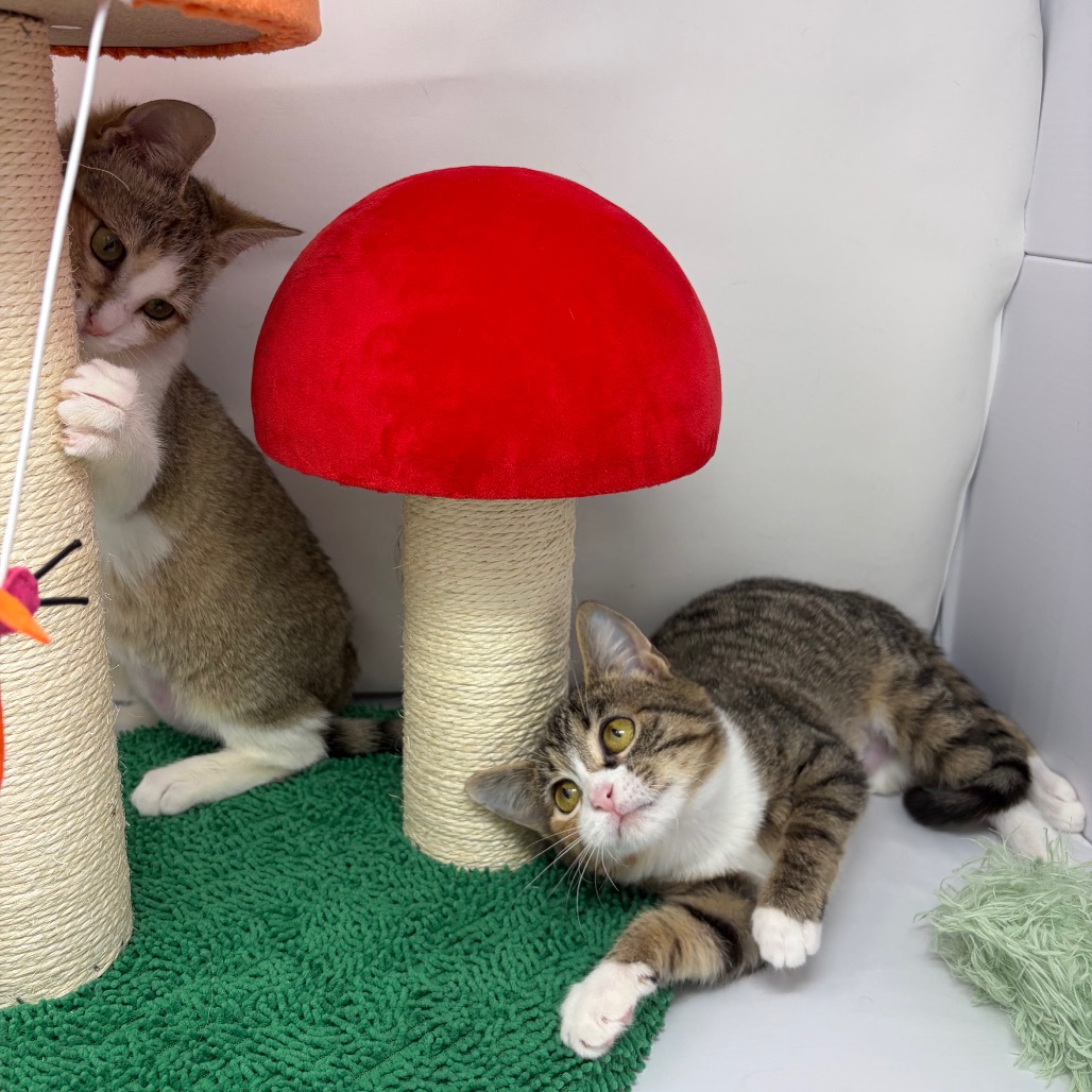 Anna — thumbnail 4