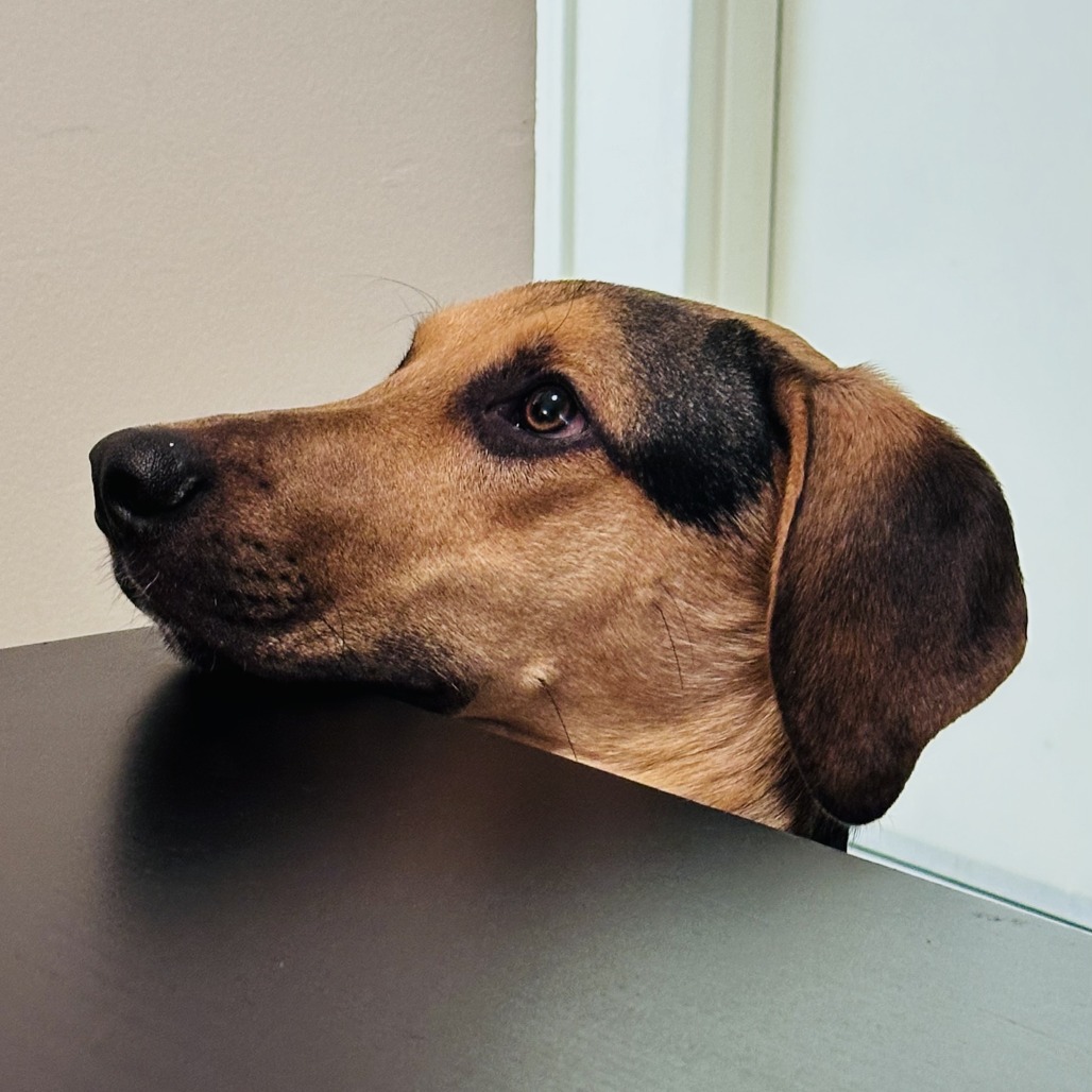 Jack — thumbnail 3