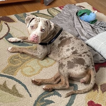 Icey — thumbnail 4