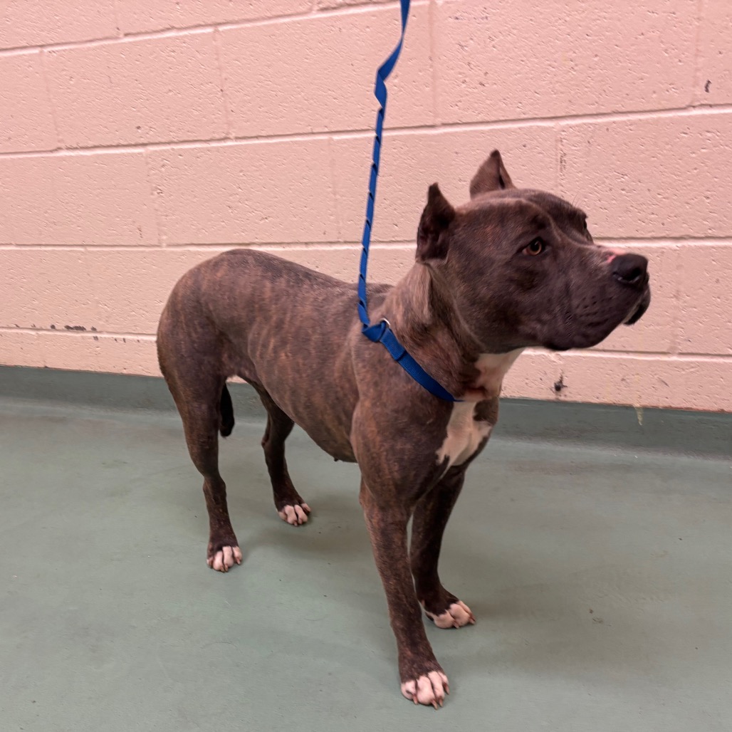 Rain — thumbnail 6