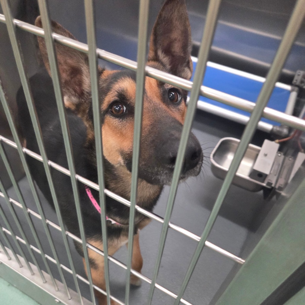 SUNSTORM — thumbnail 9