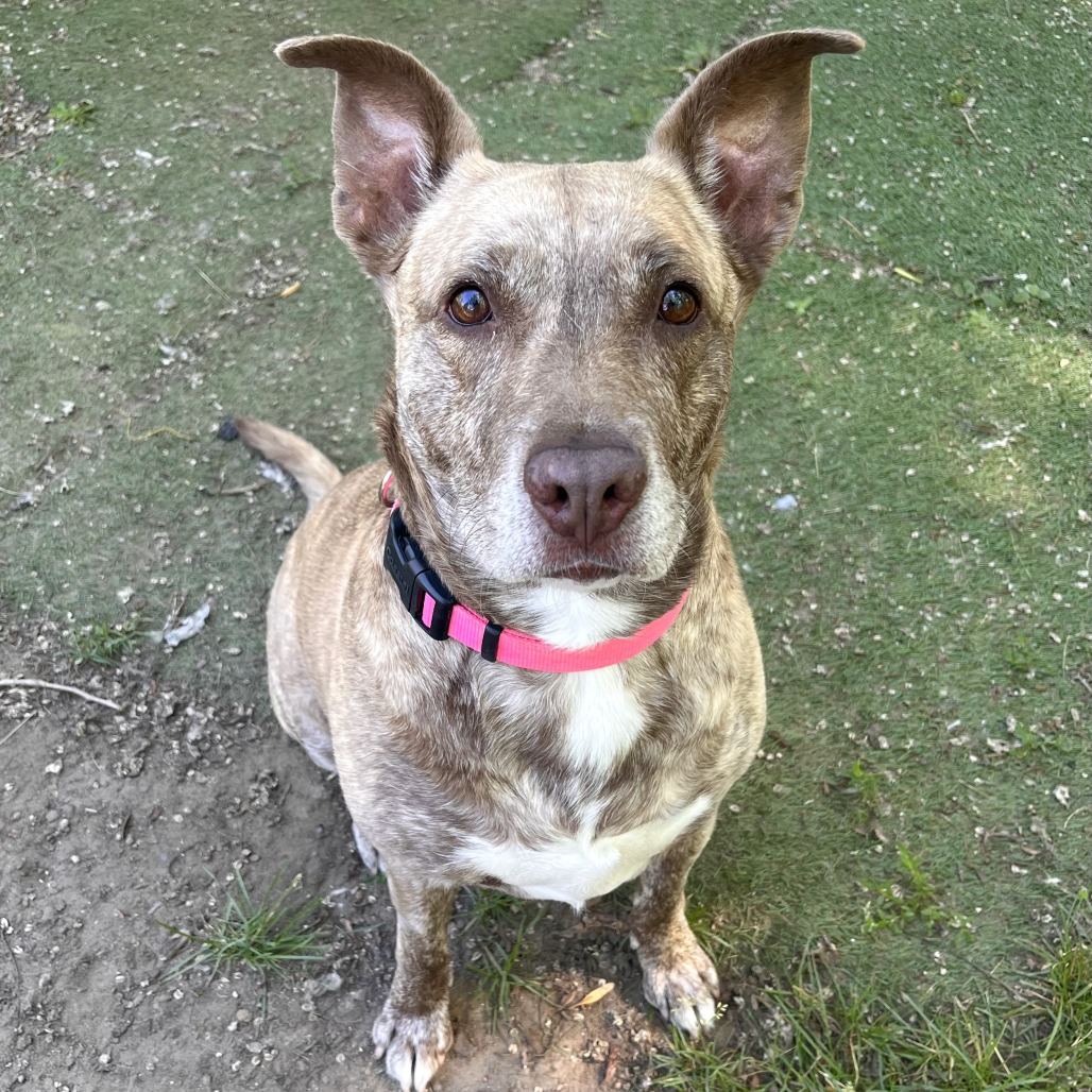 Dixie Loo, photo 28