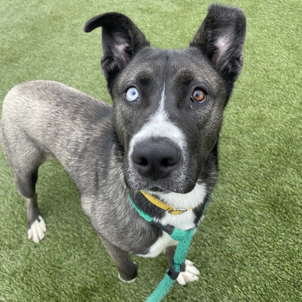 Mittens — thumbnail 2