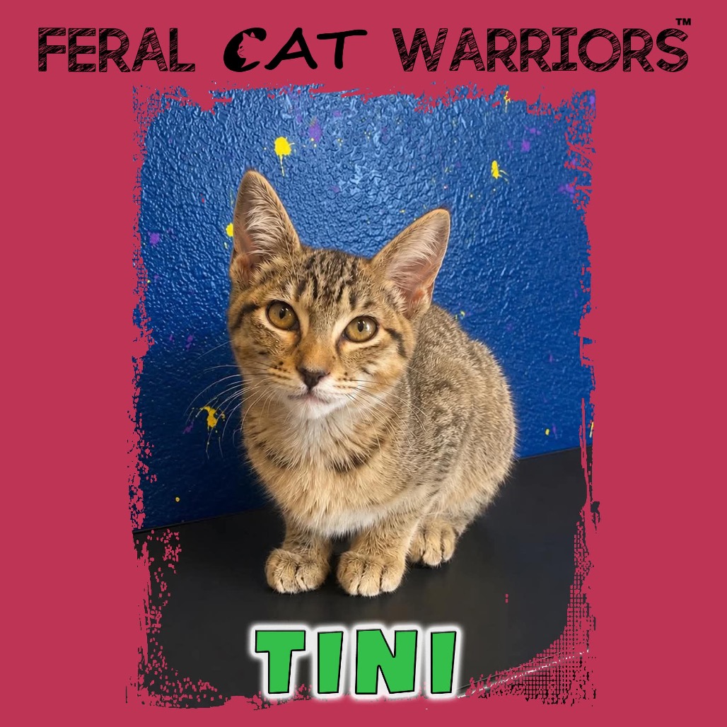Tini