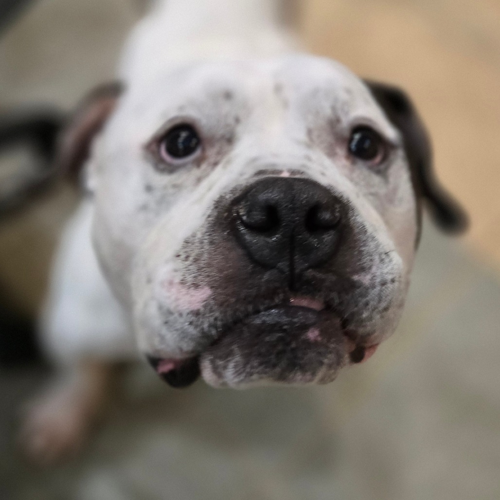 Low Rida — thumbnail 5