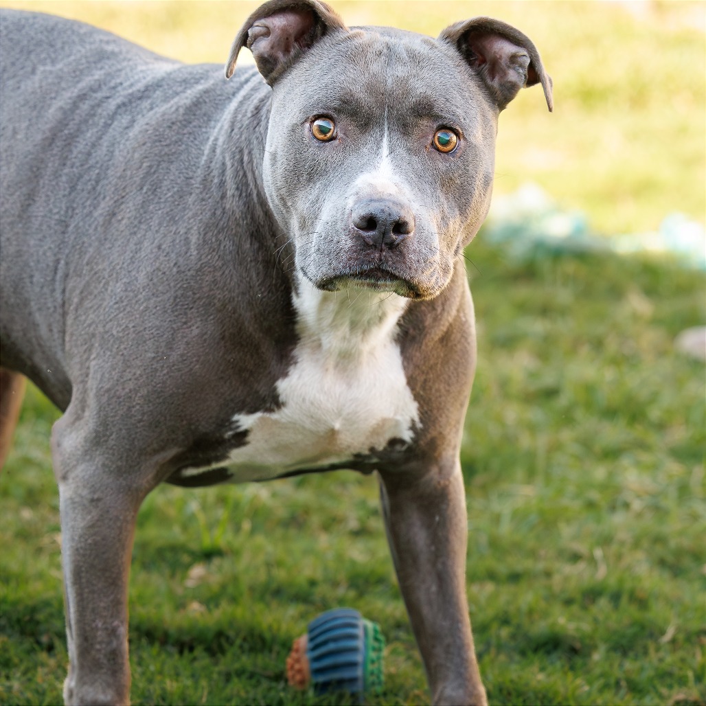 Photo of Blue