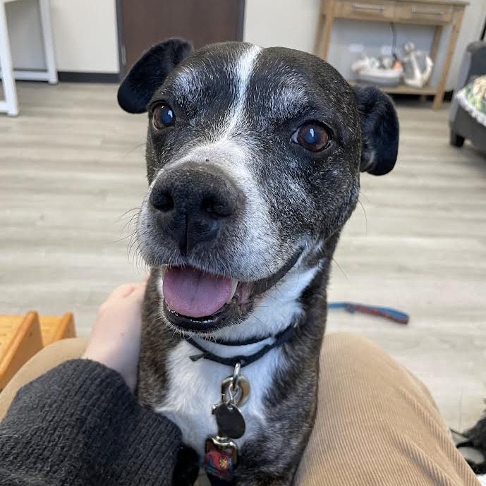 Cassie — thumbnail 5