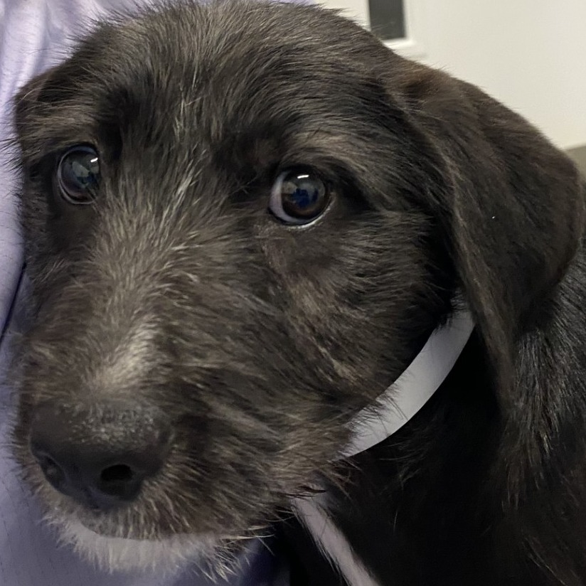 Glitter — thumbnail 2