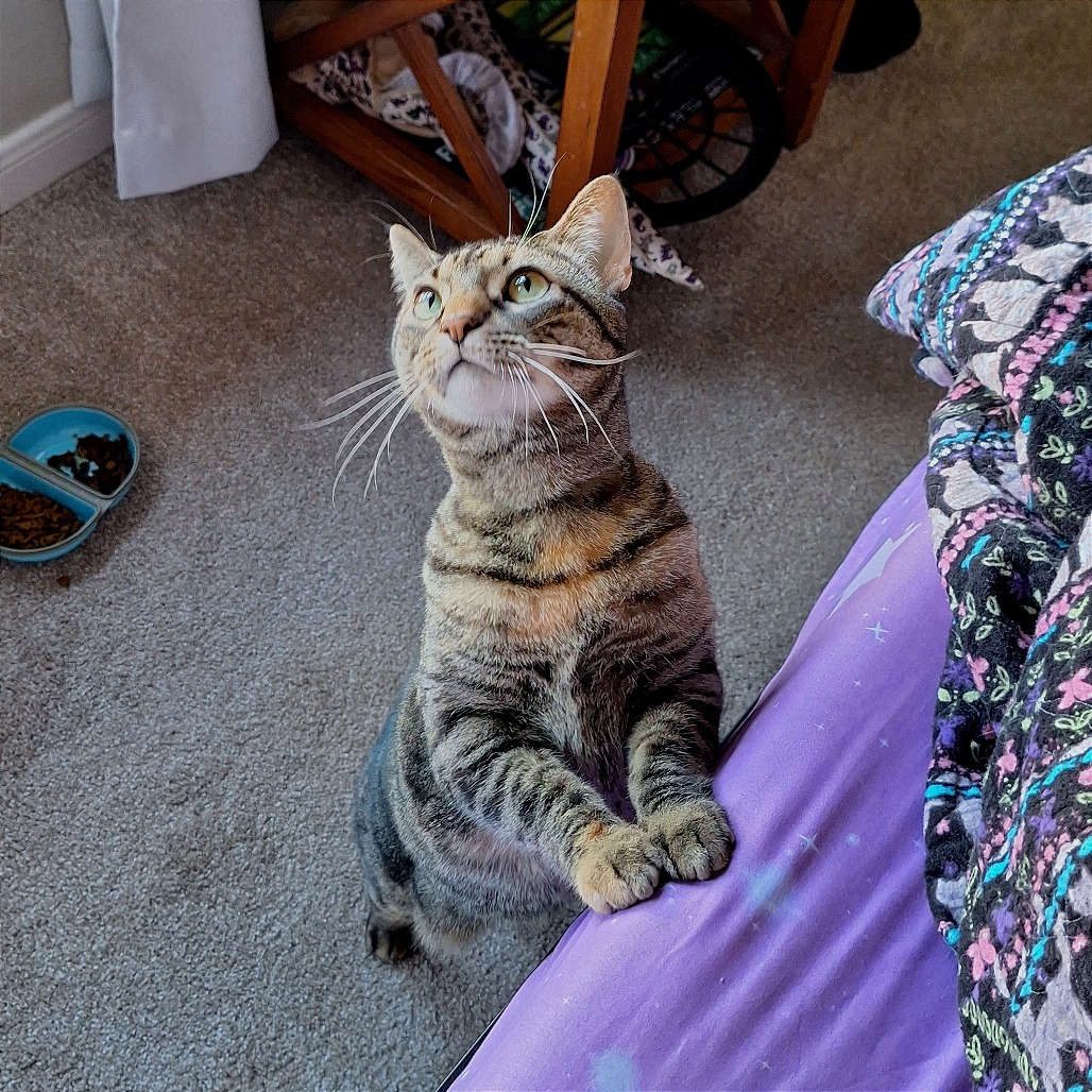 Ireland 31 — thumbnail 7