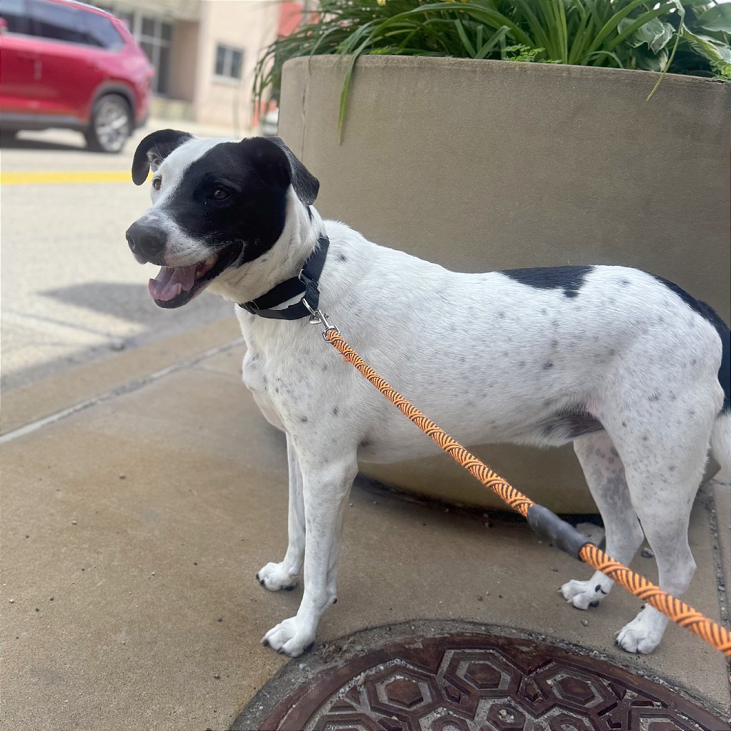 Photo of Buddy 4