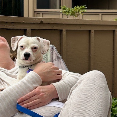 Ernie — thumbnail 3