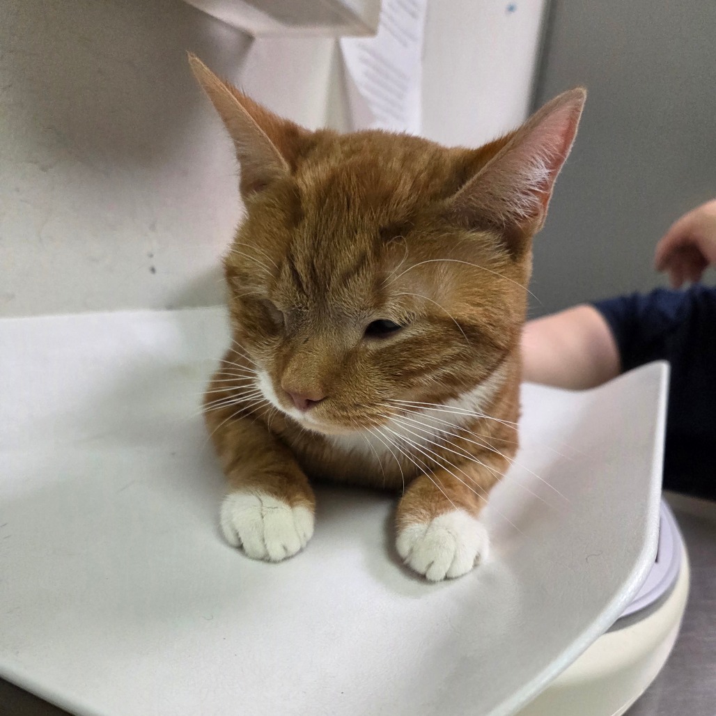 Scruff — thumbnail 2