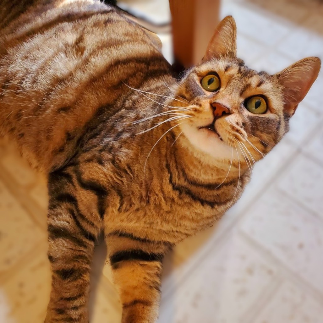 Tigger picture #10