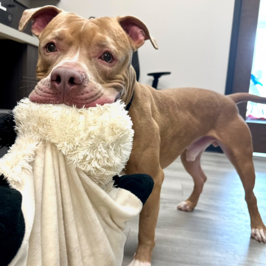 Gabe — thumbnail 4