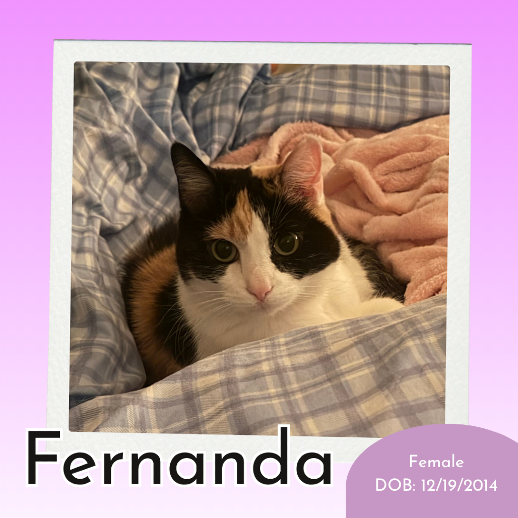 Fernanda