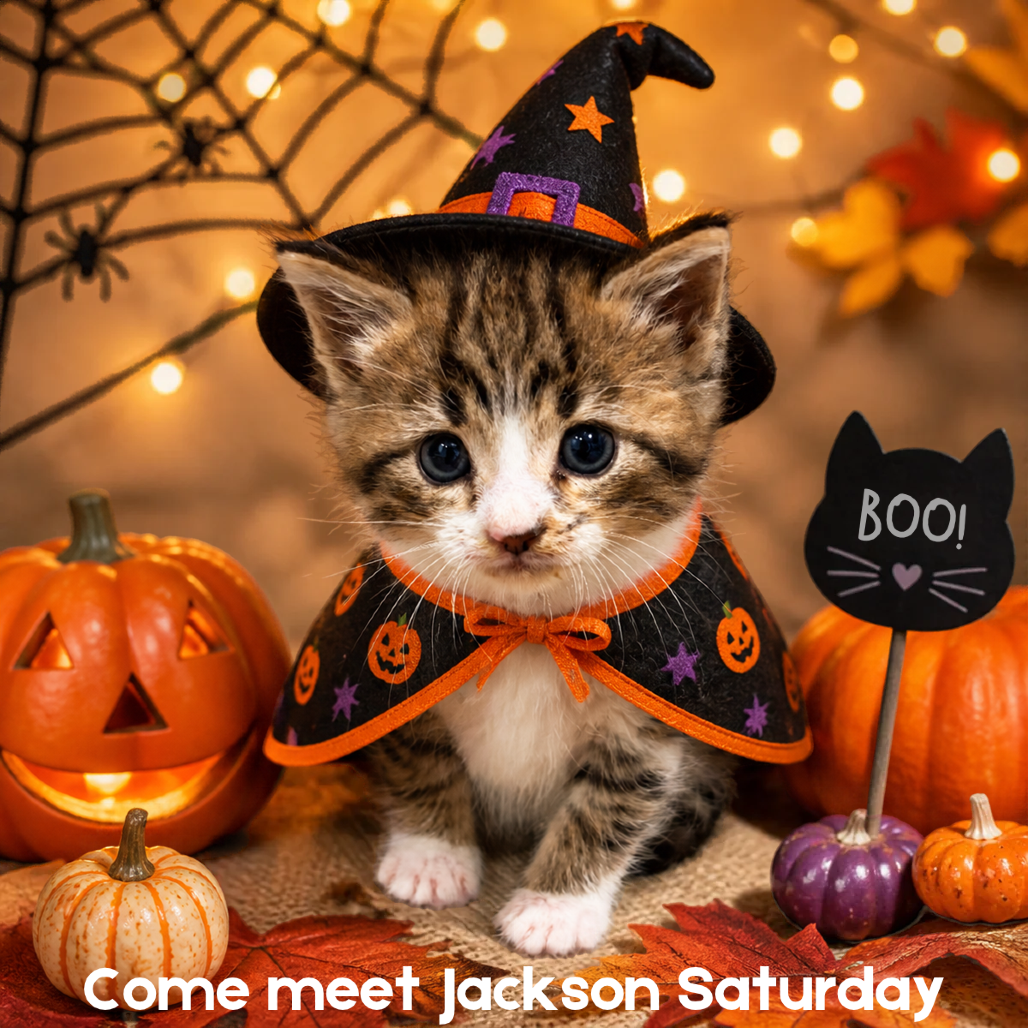Jackson