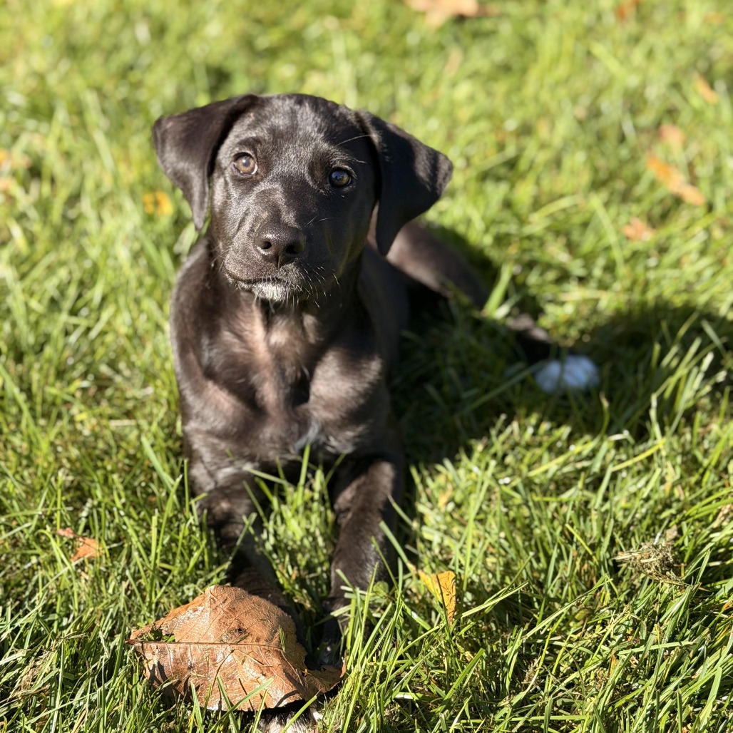 Harriet photo 3