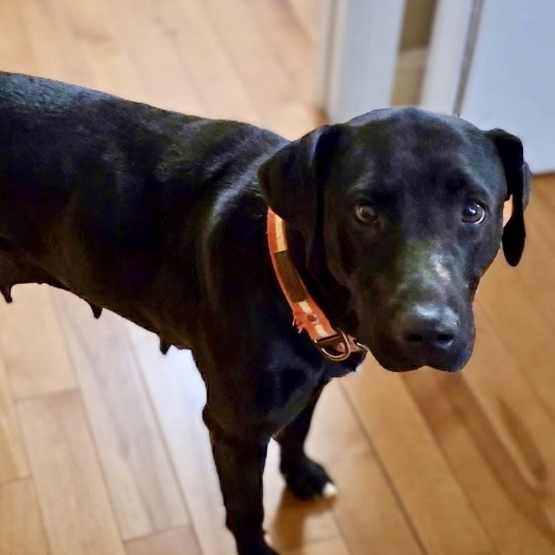 Emma Stone — thumbnail 5