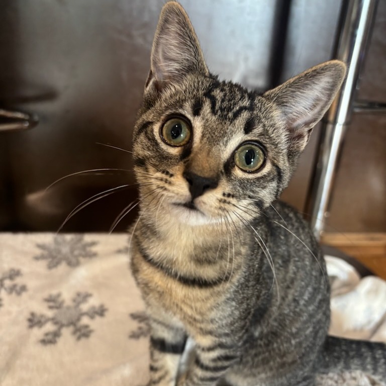 Photo of Spike