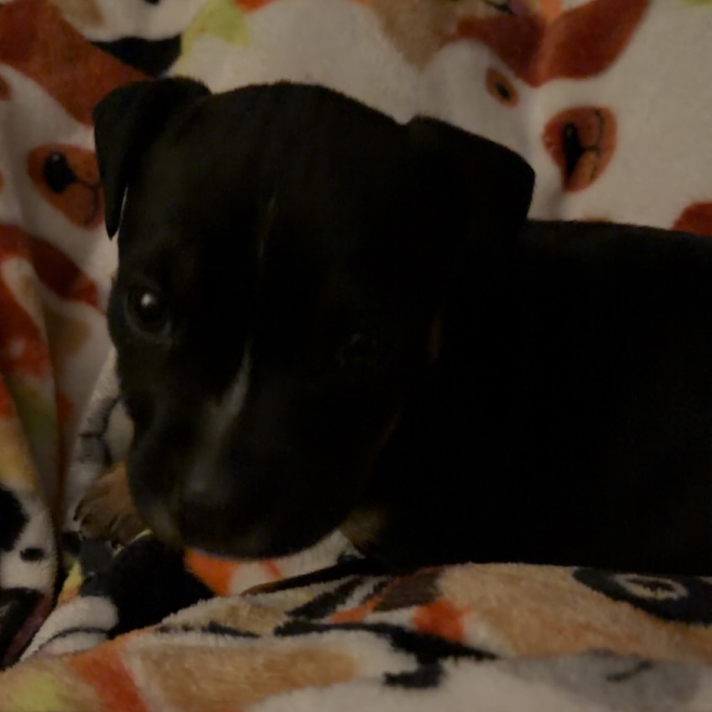 Lilo — thumbnail 9