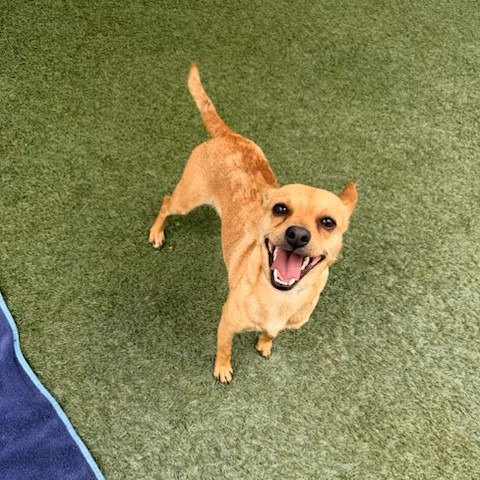 Milo the 