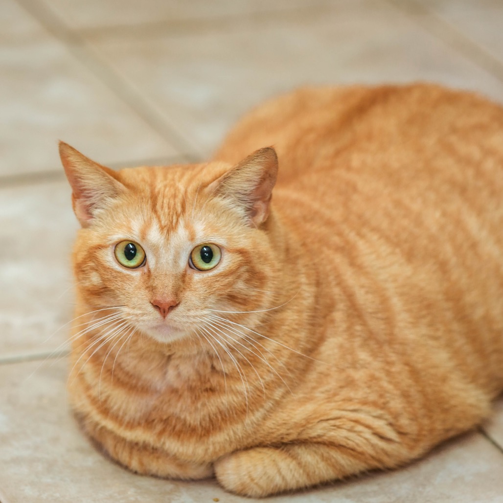 Another portrait of Bonnie