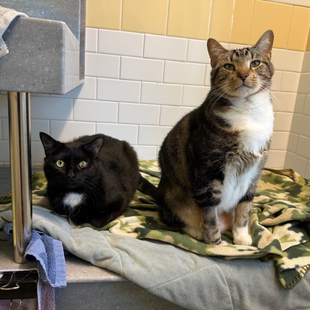 Photo of Hope and Tucker 10