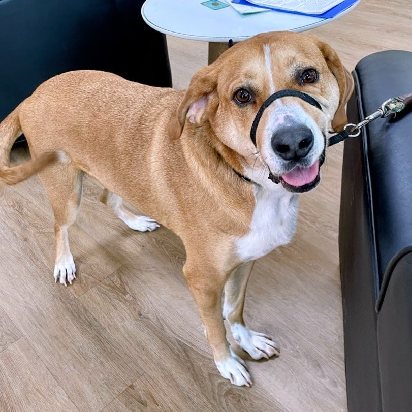 Marky Mark, "Gimbals"