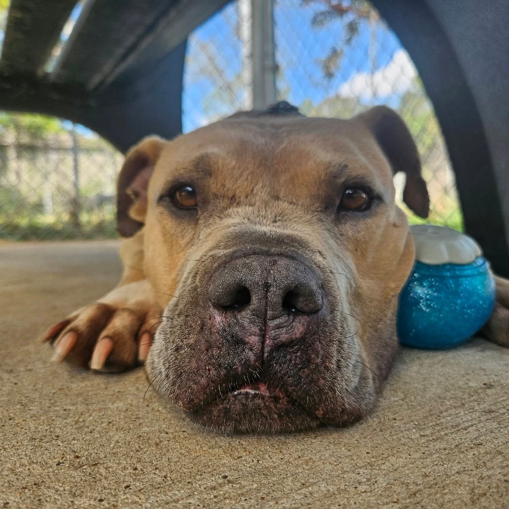 Mateo, photo 25