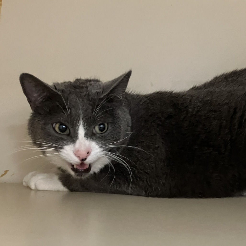 Lucy Lou — thumbnail 2