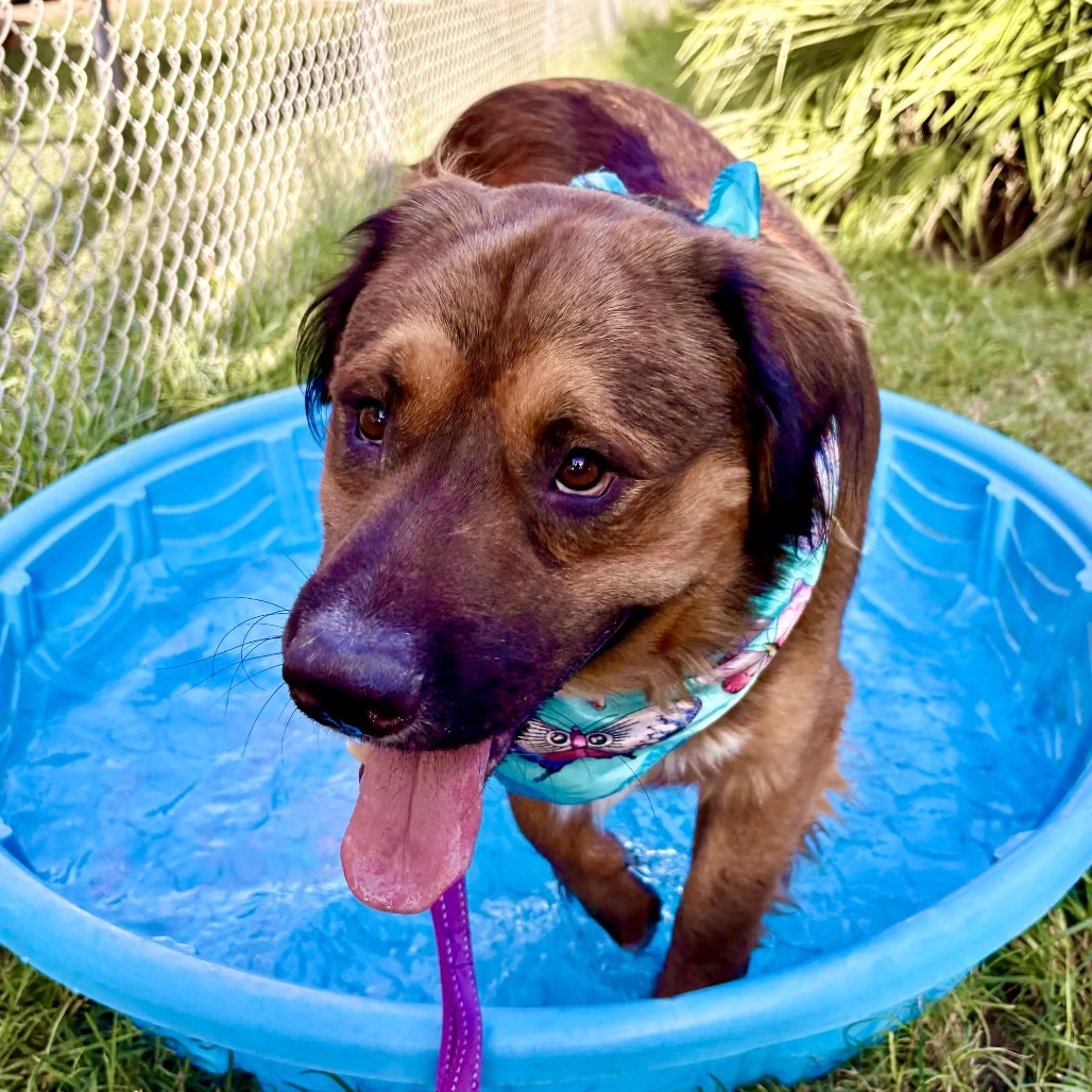 Lane — thumbnail 7