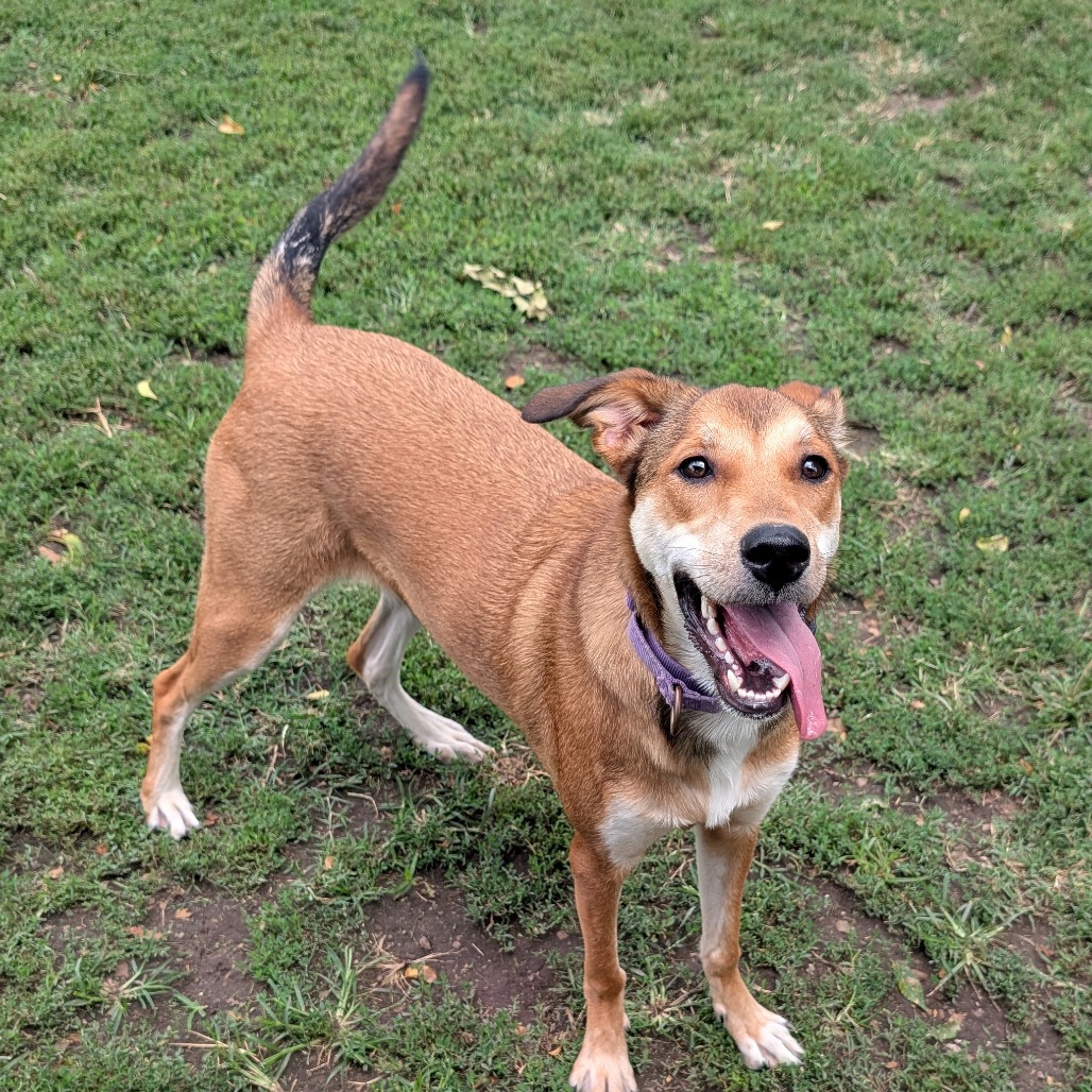 Cooper photo 9