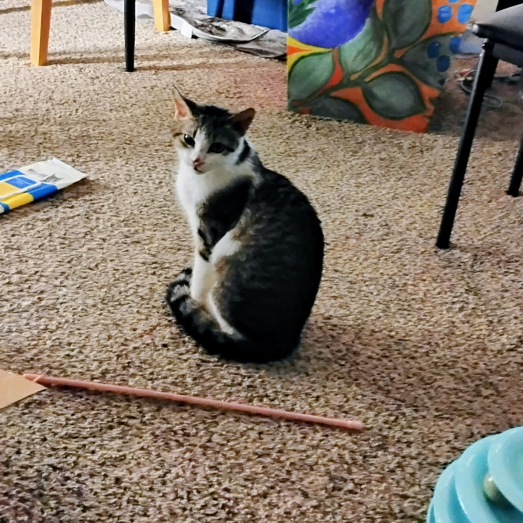 String Bean, photo 16