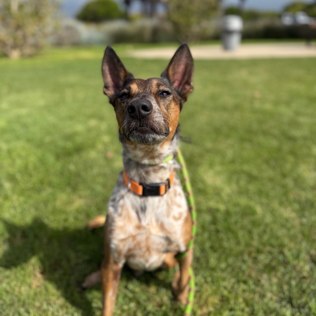 Cash, photo 17