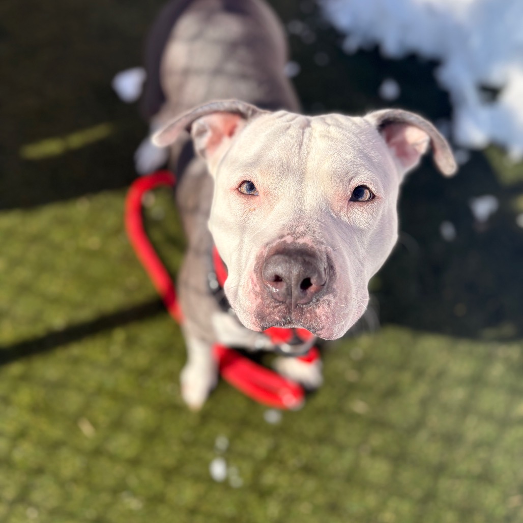 Halle Strawberry — thumbnail 3