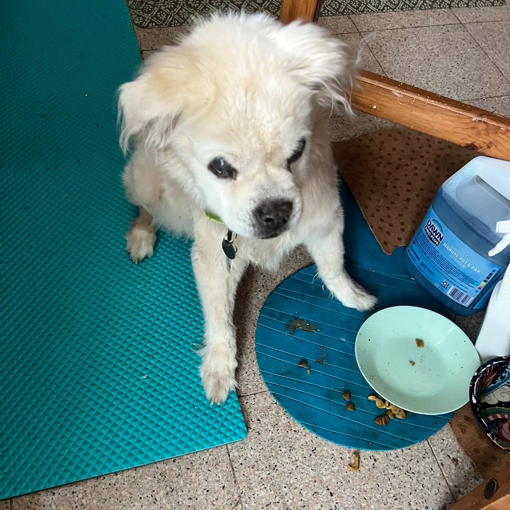 Rosco Rue, photo 8