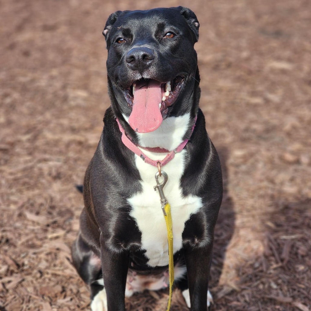 Thena — thumbnail 3