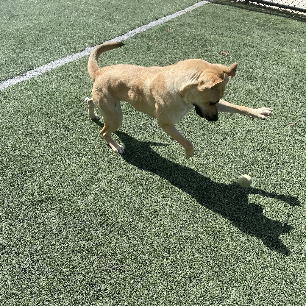 Kiana Lede — thumbnail 4