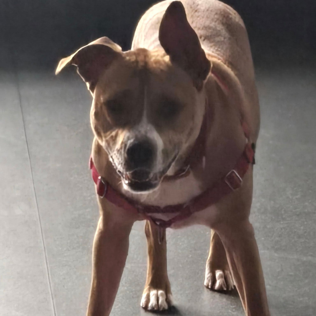 Photo of Cooper 20