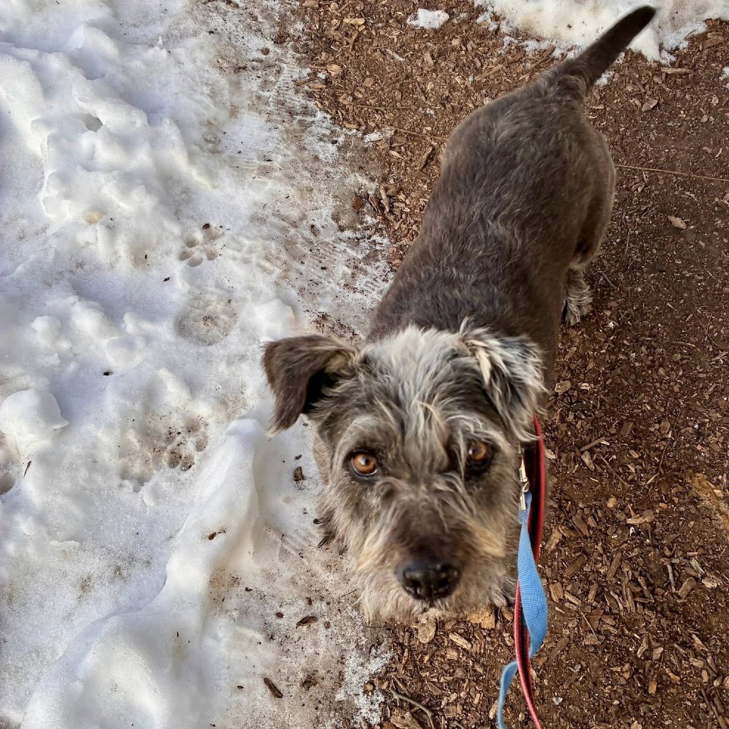 Benny — thumbnail 10